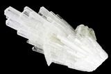 Scolecite Crystal Spray with Apophyllite - India #177521-1